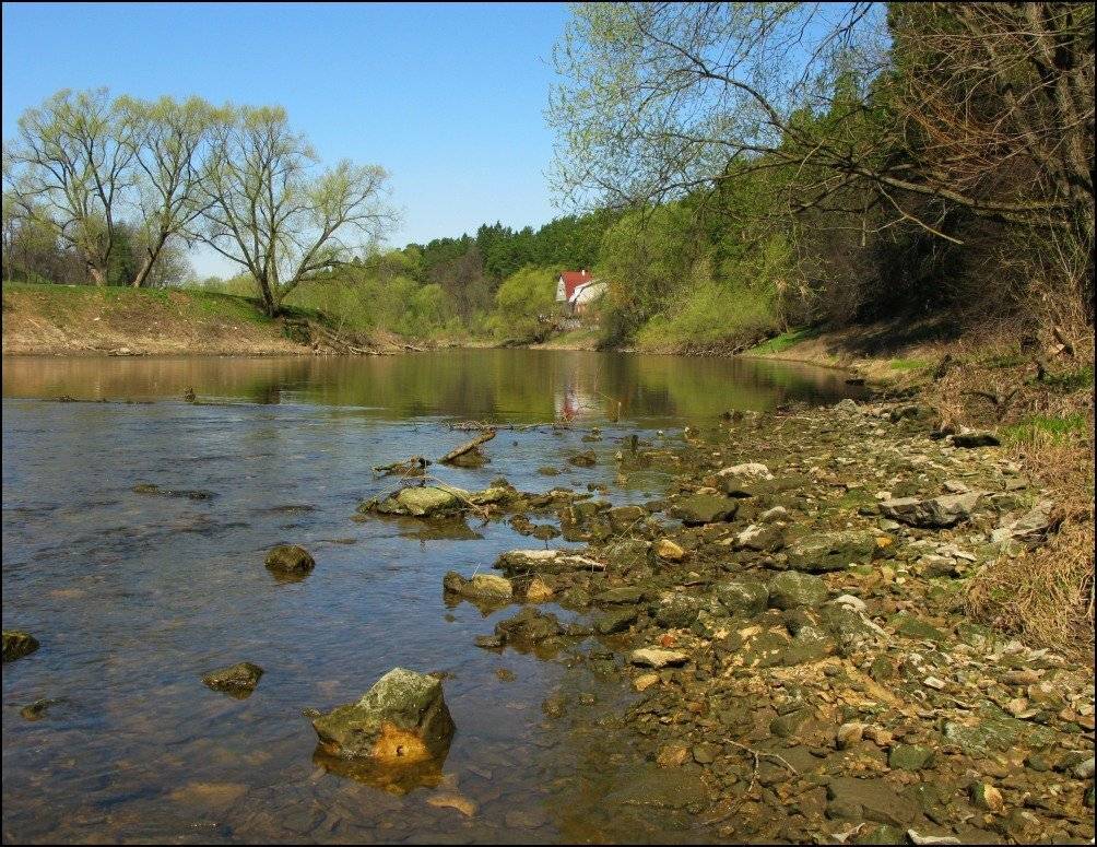 ***. Автор: Олег Потехин , Олег Потехин