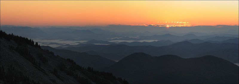 Призрачные далиphoto preview