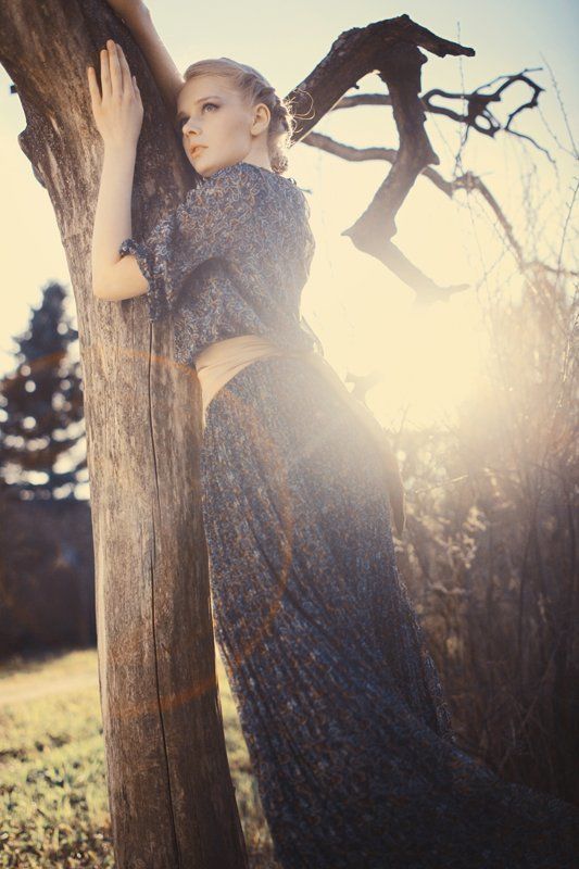 модель, дерево ***photo preview