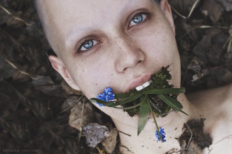 весна, трава, сон, земля, листья, глаза, цветы Как больно быть травоюphoto preview