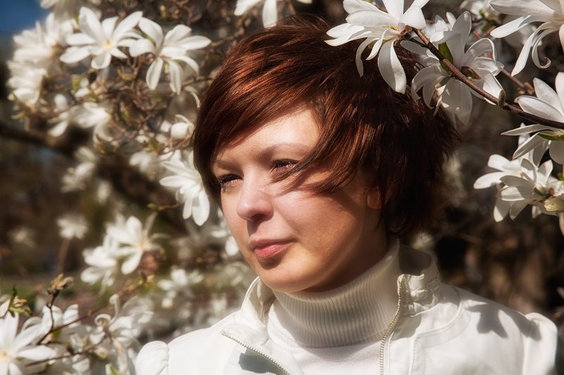 когда цветёт Магнолияphoto preview