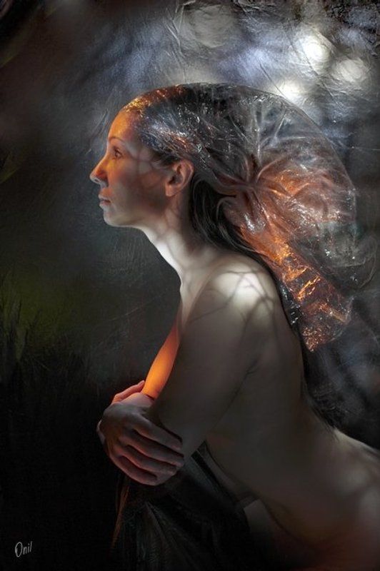 светографика * * *photo preview