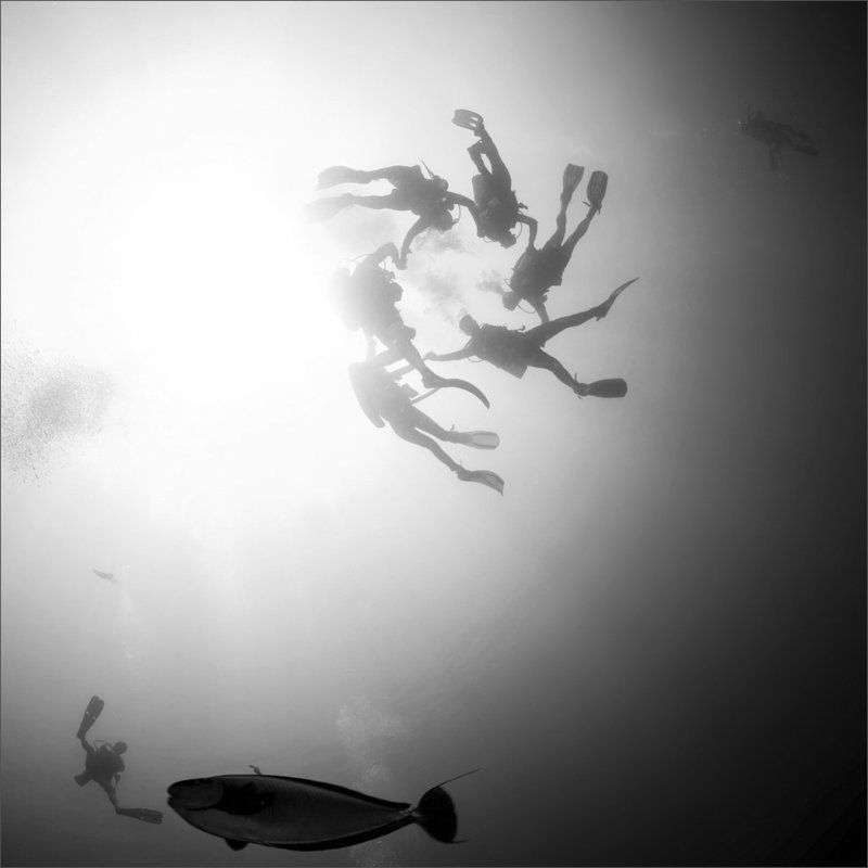 чудно Хороводы фото превью