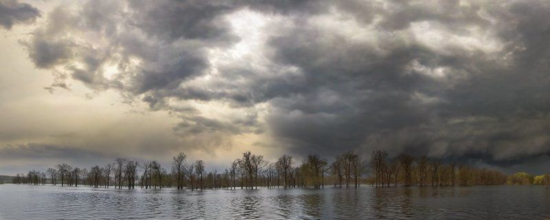 Один из семи месяцев длиной в 31 день*photo preview