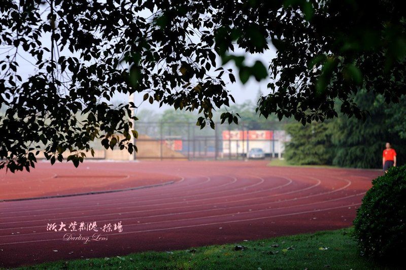 Collagephoto preview