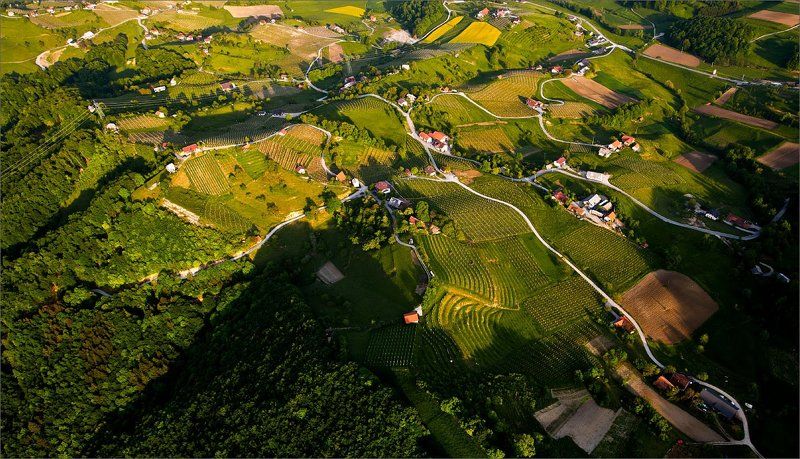 медленно_внимательно Органичная жизньphoto preview