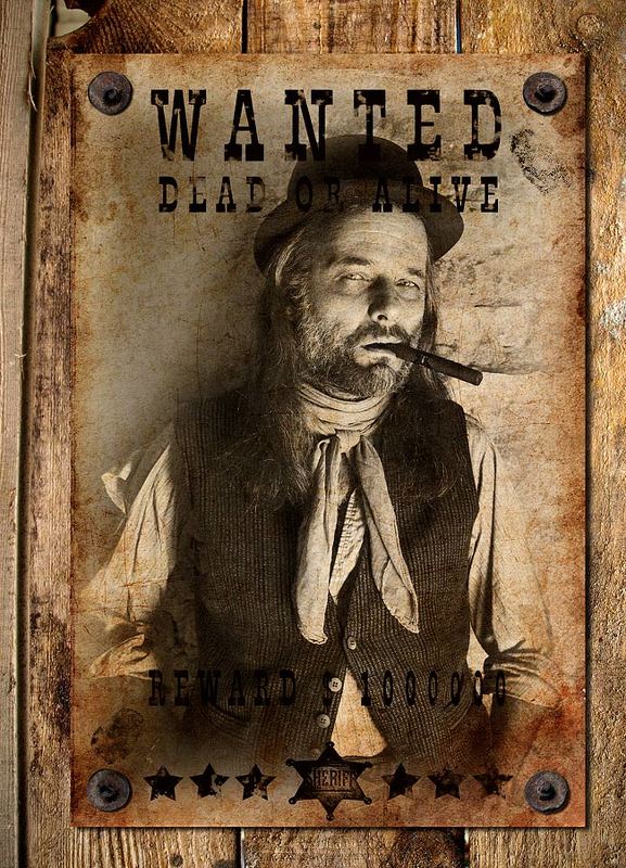 Шулерphoto preview