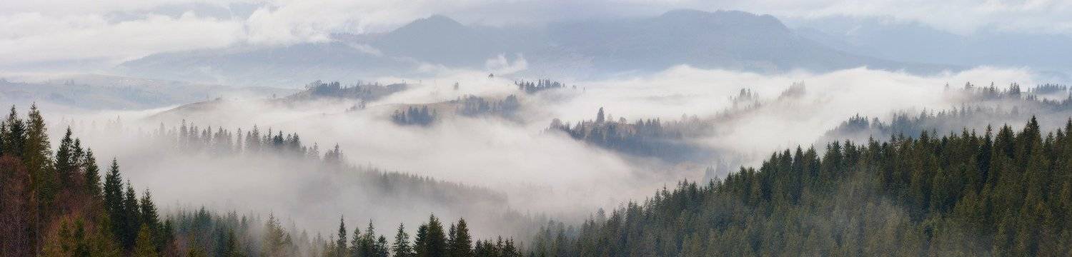 утро, карпаты, туман, Алексей Угальников