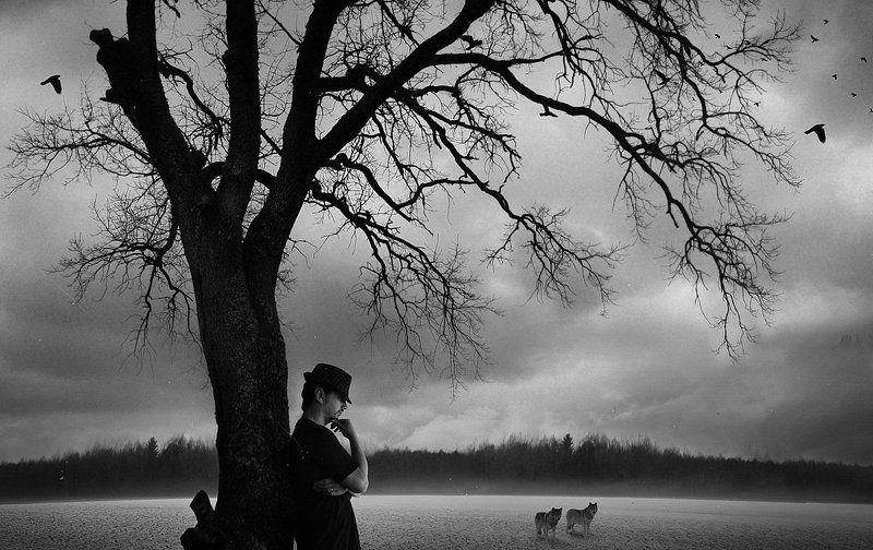 Black and white, Man, Odin, Tree, Wolf odinphoto preview