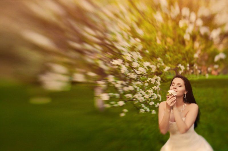 вед ведphoto preview