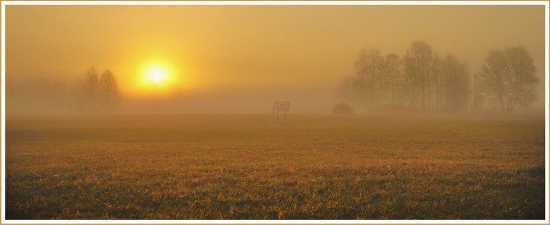 Утроphoto preview