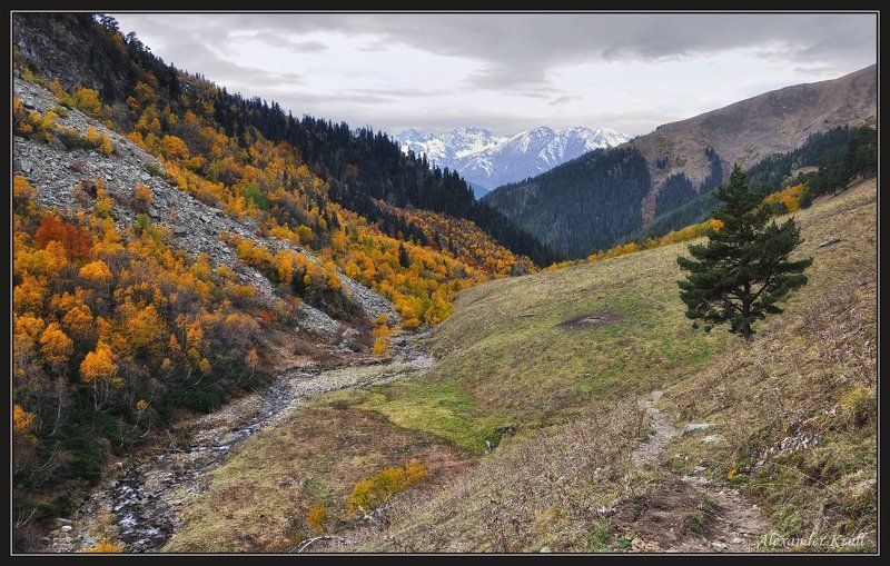 кавказ, кчр, горы, осень Осенними тропами...photo preview