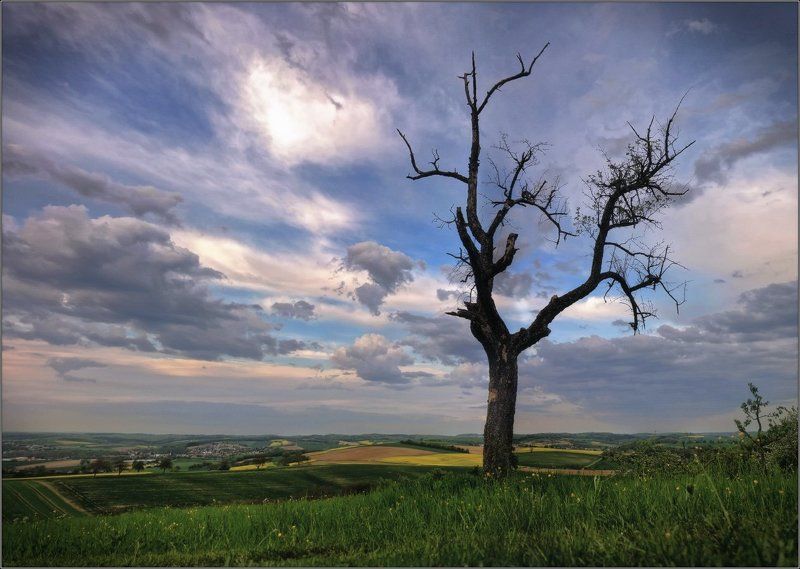 псод ПСОД...photo preview