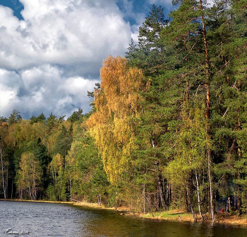 природа, , озеро, весна, тишина, подмосковье, пейзаж На \