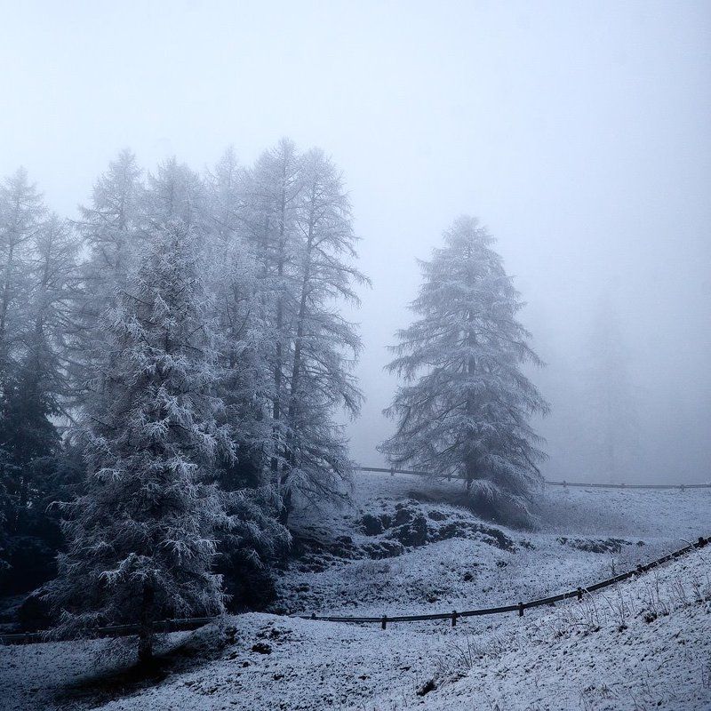 Туманный холмphoto preview