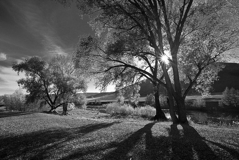 Вечерняяphoto preview