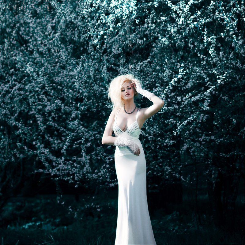 маргарита, хина ...photo preview