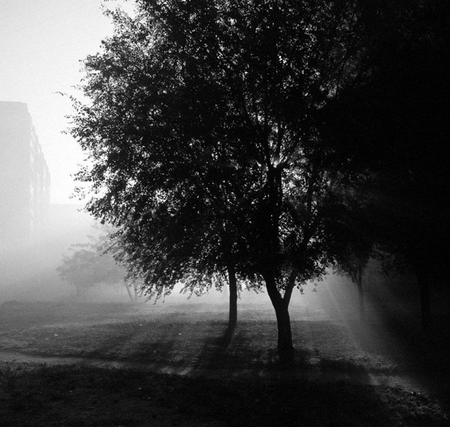 , Андрей Рублевик