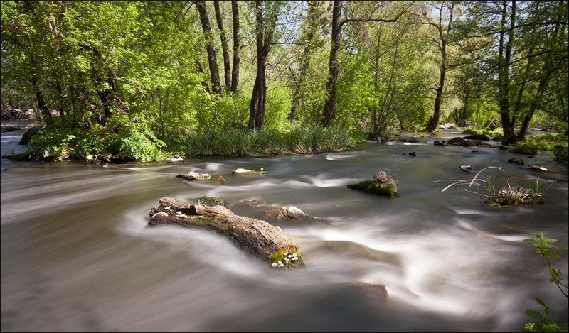 Кисельные реки...photo preview