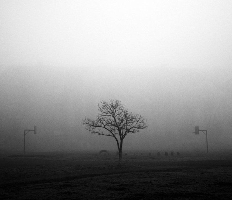 ... фото превью