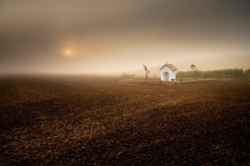 #landscape #calm #sky #clouds #sunrise #trees #foggy #fog #canon #longexposure #nature #beautiful #colorful #hills Moraviaphoto preview