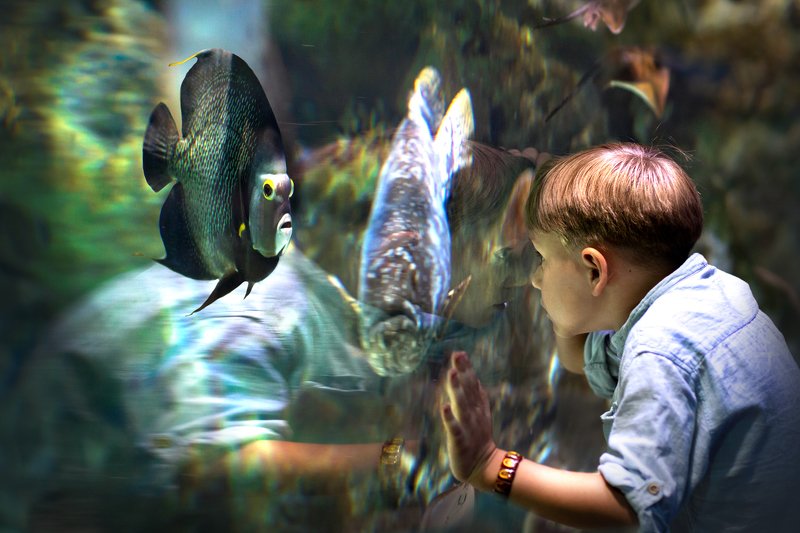 *** фото превью