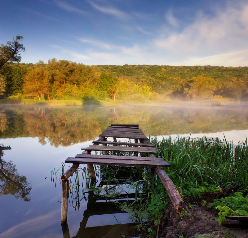 река, сижа, утро, лес, берег, природа, донец, харьков Сижаphoto preview