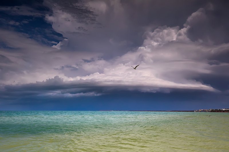 Black sea, Crimea, waves, seagull, storm, dramatic clouds Штормовое небо над Черным морем. Крымphoto preview