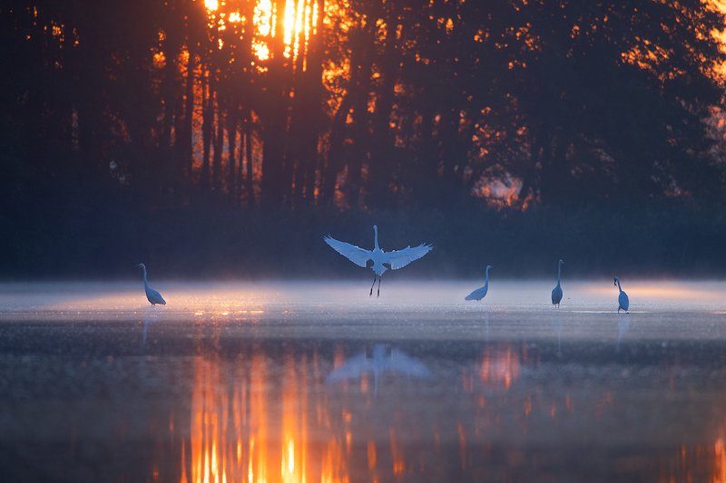 Cold and warmphoto preview