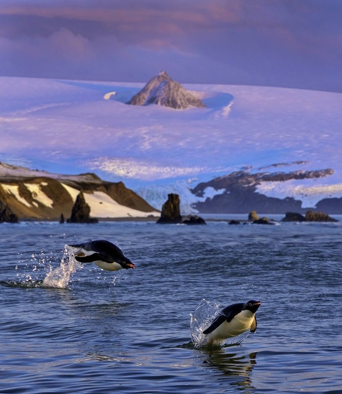 Spirit of Antarcticaphoto preview