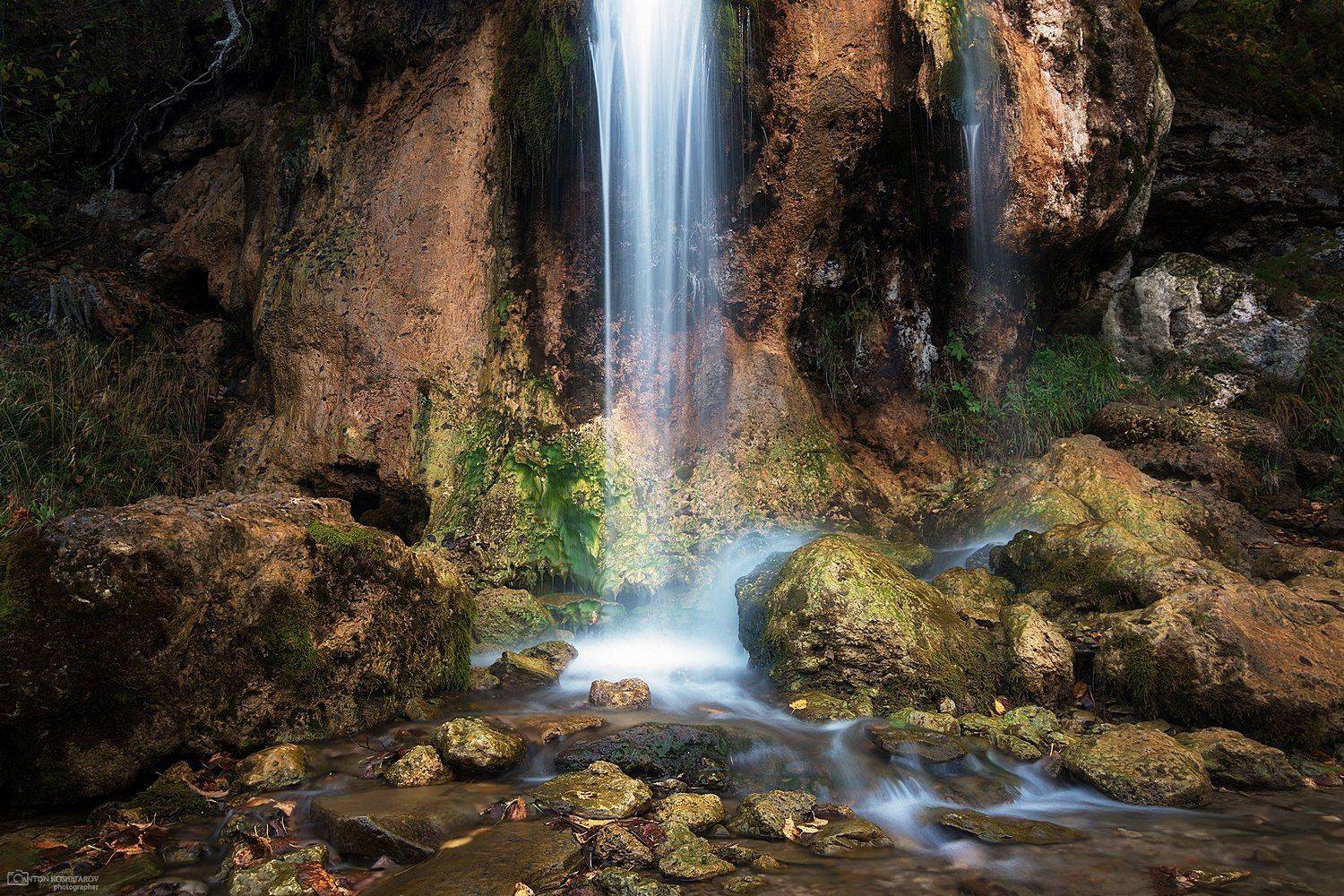 , Антон Кошетаров