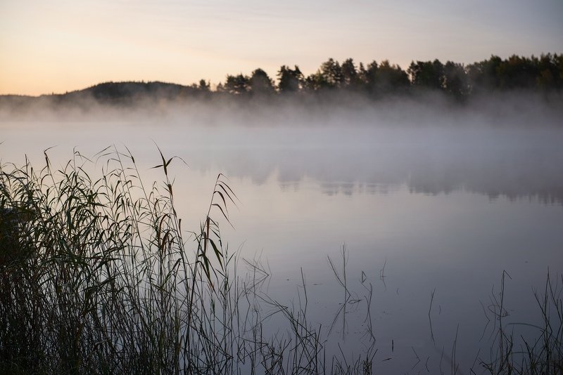 Карельский туманphoto preview