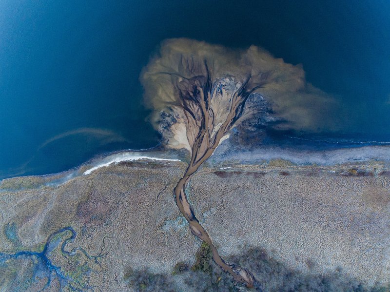 Дерево жизниphoto preview