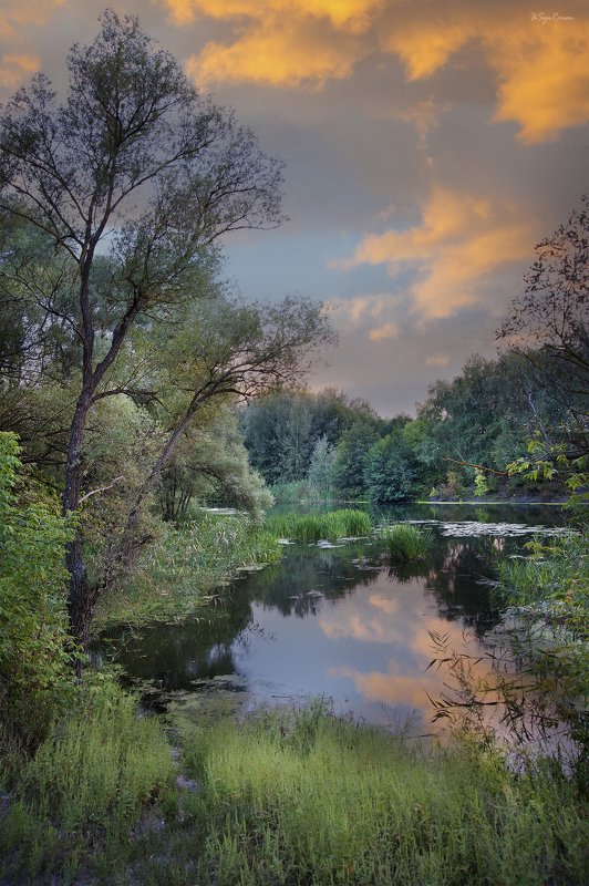 пейзаж, лето, вечер, лес,река,берег,закат, облака На вечерней зорьке ...photo preview