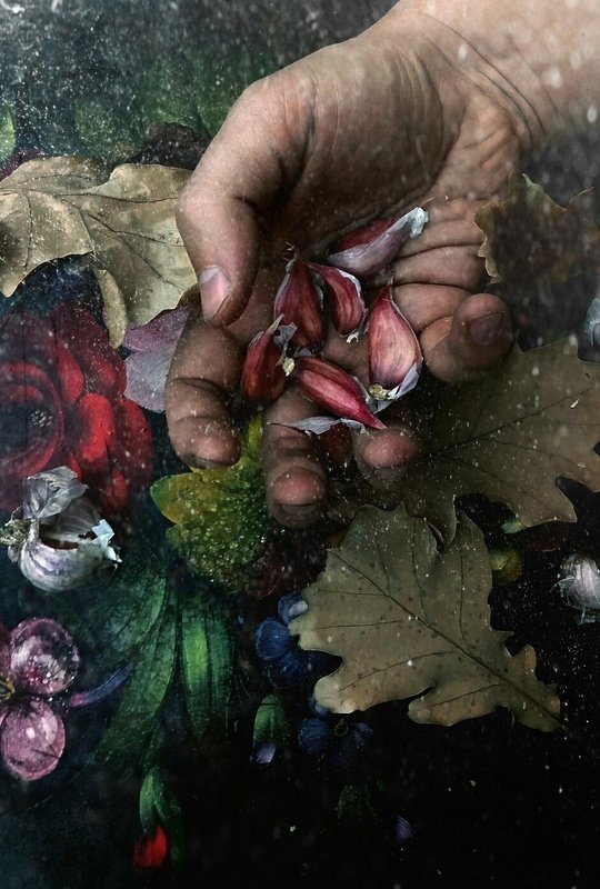 Чесночные желуди...photo preview