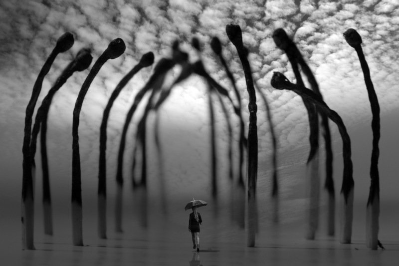 Надеждаphoto preview