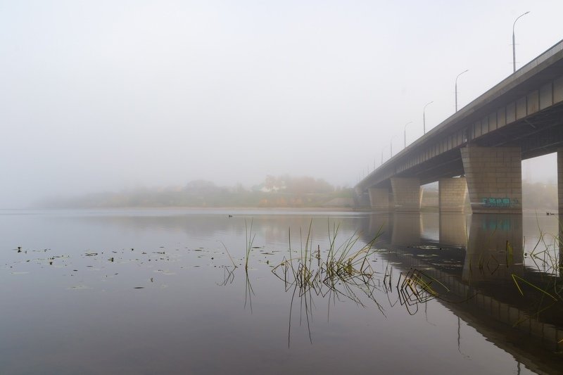 pskov, pleskau, псков, landscape, псковскаяобласть, pskovregion, утро, туман, nikon, nikonrussia, sigma, rtgtv, 35photo, russia, foto, фото, photo, photography Туманphoto preview