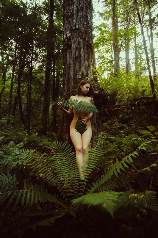 В объятиях лесаphoto preview