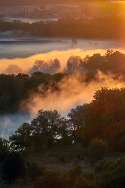 Shades of autumn.photo preview