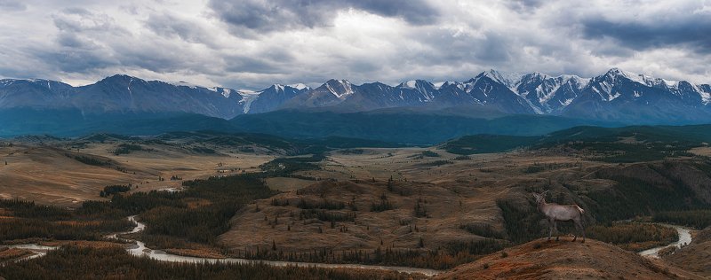 алтай photo preview