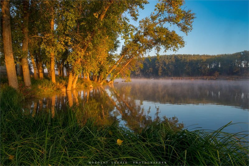 #landscape, #nature, #scenery, #forest, #wood, #autumn, #mist, #misty, #fog, #foggy, #river, #waterfall, #longexposure, #mountain, #vitosha, #bulgari, #aтуман, #лес, #oсень photo preview