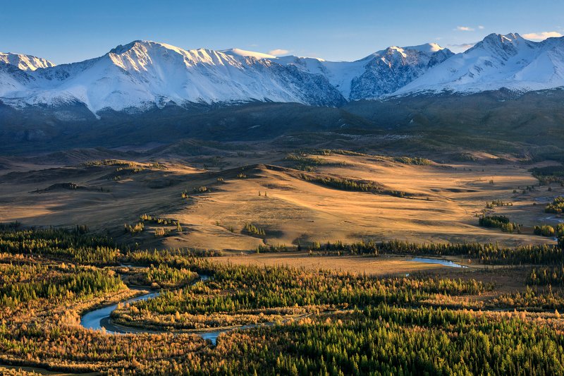 mountain, mountain range, Altai, landscape, river, forest, peaks, steppe Golden autumn. Altaiphoto preview