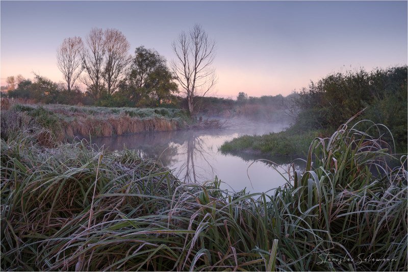 утро, рассвет, туман, осень, осенняя, осенняя пора, пейзаж, дерево, река, тишина, сумерки, замирание, отражение, сказка Утренняя тишина у рекиphoto preview