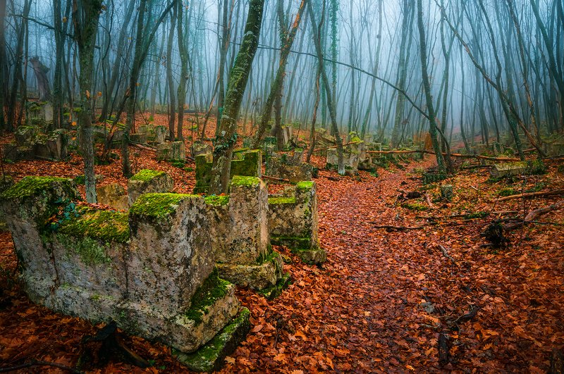 крым,  лес,  пейзаж,  деревья, иосафатова долина, осень, листья Memento moriphoto preview