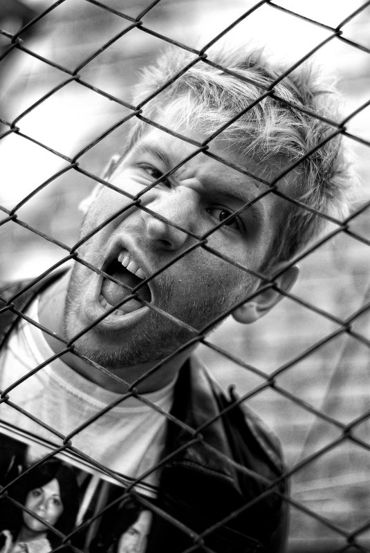 dorn.2008photo preview