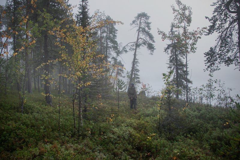 Туман, Север, Кольский В туманеphoto preview
