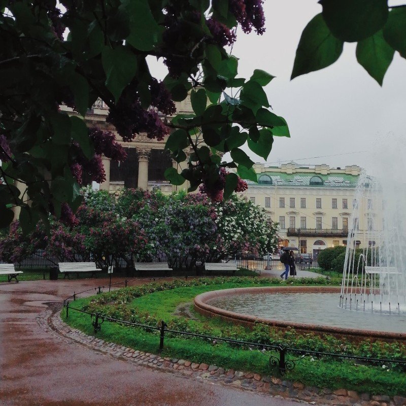 Романтикphoto preview