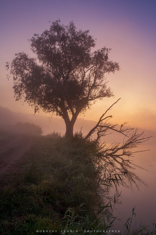 #landscape, #nature, #scenery, #forest, #wood, #autumn, #mist, #misty, #fog, #foggy, #river, #waterfall, #longexposure, #mountain, #vitosha, #bulgari, #aтуман, #лес, #oсень photo preview