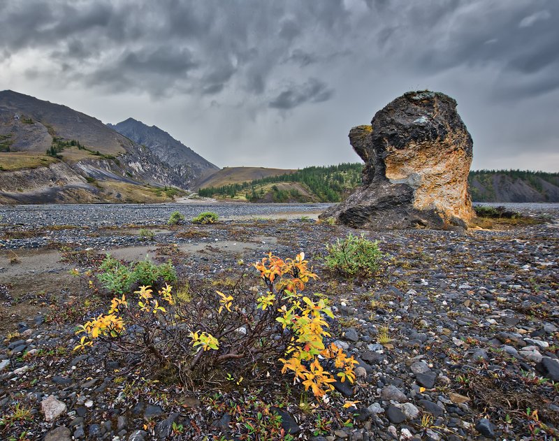 Без названия.photo preview