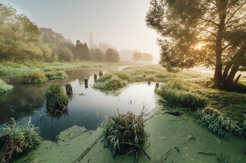 филипповское, шерна Утро на Шернеphoto preview